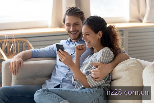 新西兰28计划分析模型图解