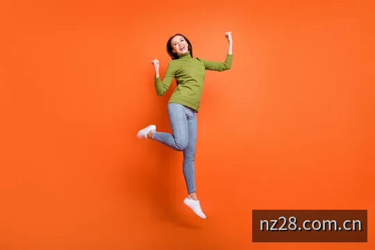 新西兰28走势分析数据视窗